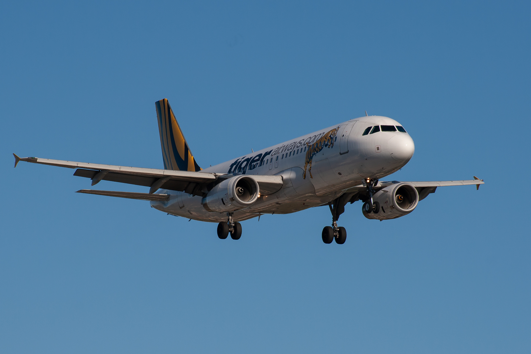 Tiger AW Australia Airbus A320-200 VH-VNJ at Kingsford Smith