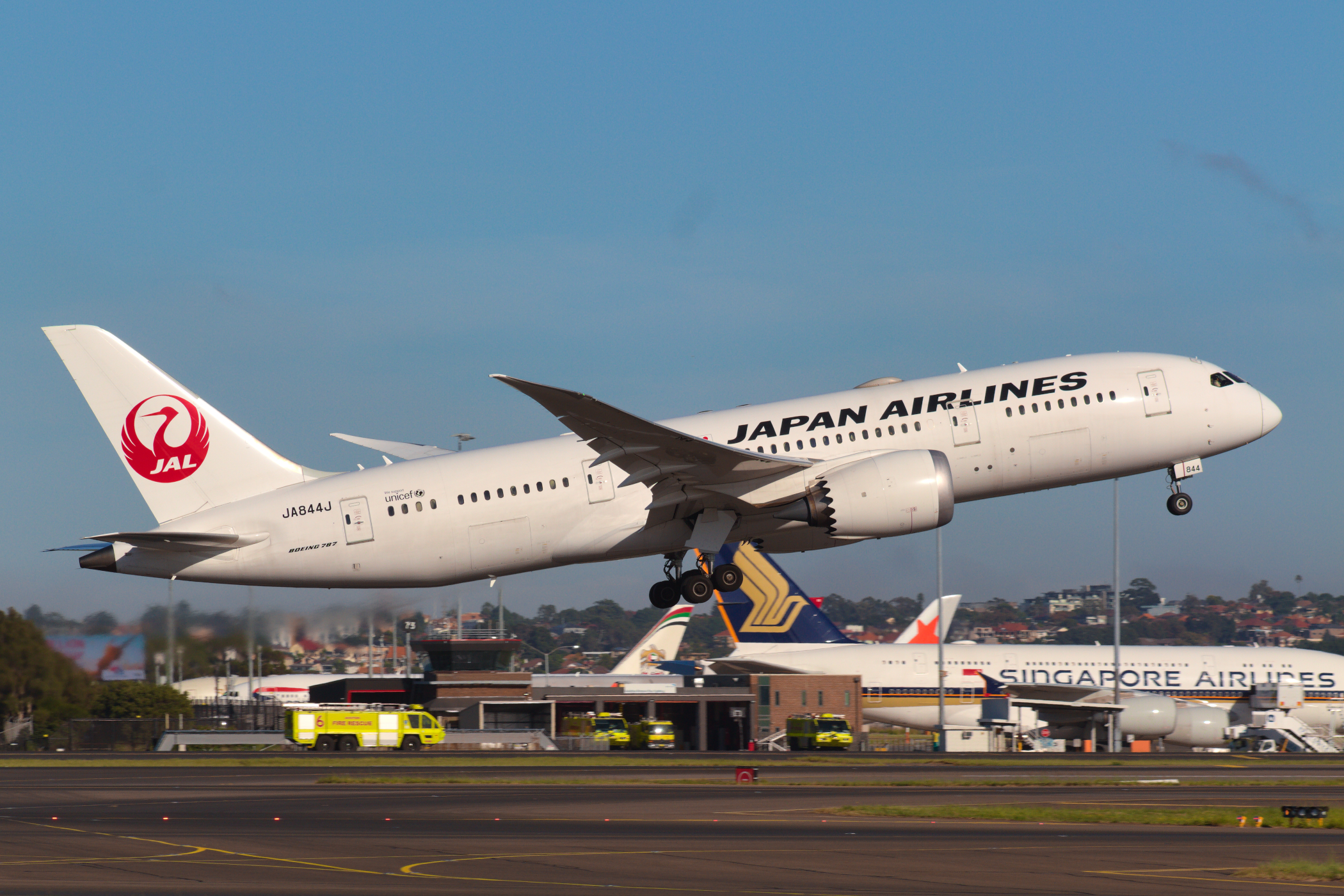 Japan Airlines Boeing 787-800 JA844J at Kingsford Smith