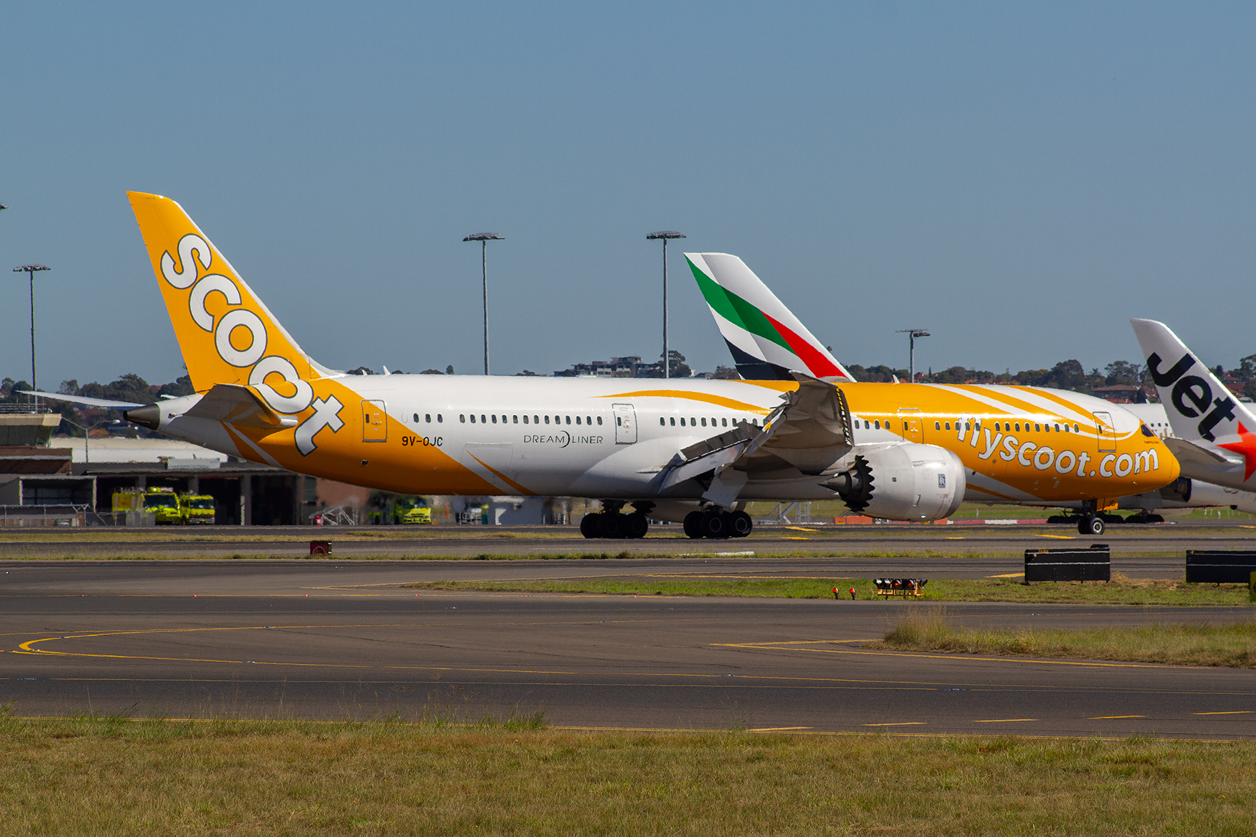 Scoot Boeing 787-900 9V-OJC at Kingsford Smith