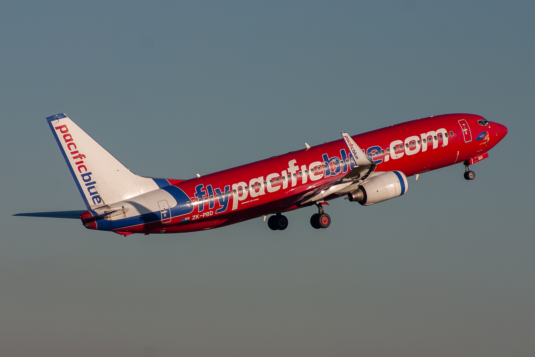 Pacific Blue Airlines Boeing 737-800 ZK-PBD at Kingsford Smith