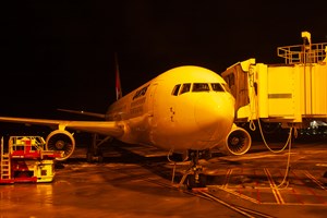 Qantas Boeing 767-300ER VH-ZXF at Kingsford Smith